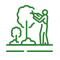 Tree Maintenance